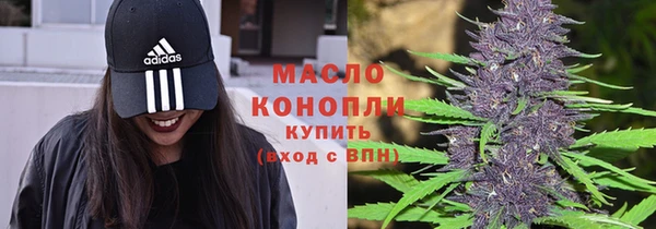 молекула духа Осташков