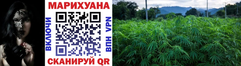 darknet какой сайт  кракен ТОР  Фрязино  Шишки марихуана Amnesia 